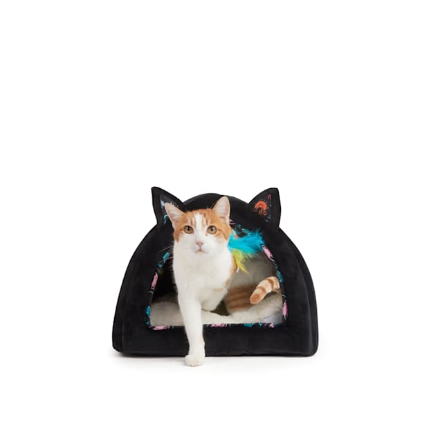 bobs skechers cattitude