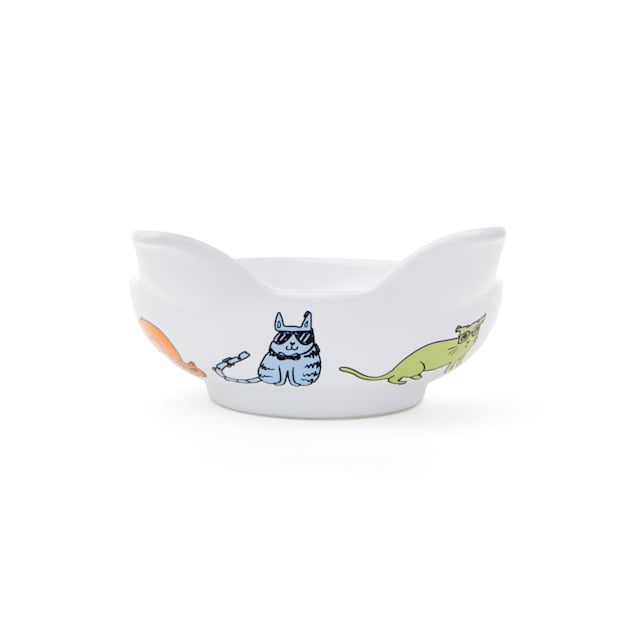 Bobs skechers cattitude hotsell