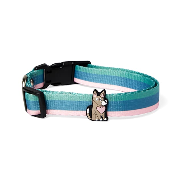 Bobs for dogs collar top