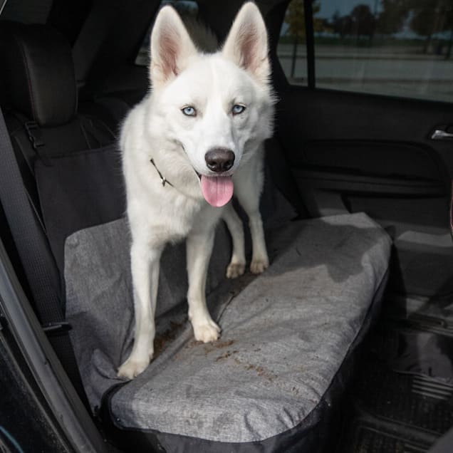 Bergan new arrivals seat protector