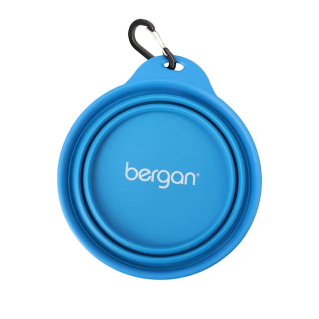 Petco collapsible dog bowl online