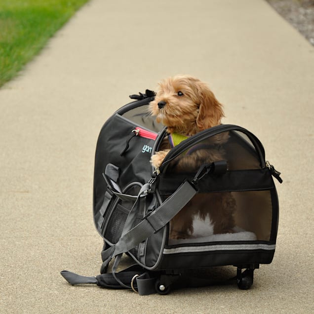 EveryYay Places To Go Black Pet Carrier, Small