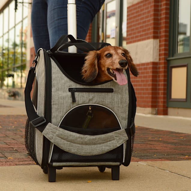 Pet roller carrier outlet