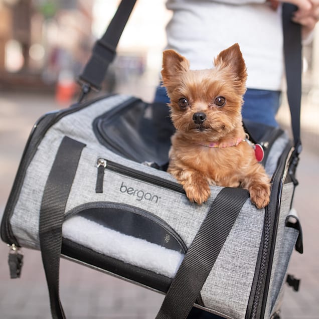 Bergan Heather Grey Backpack Pet Carrier, 11.5 L X 9 W X 17.5 H