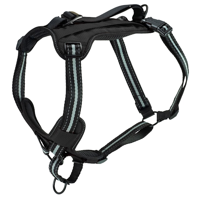 PetSafe Walk-Along Outdoor Dog Harness, Small - Carousel image #1