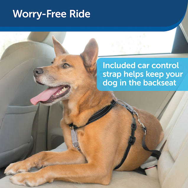 Petsafe 3 in 1 harness petco top