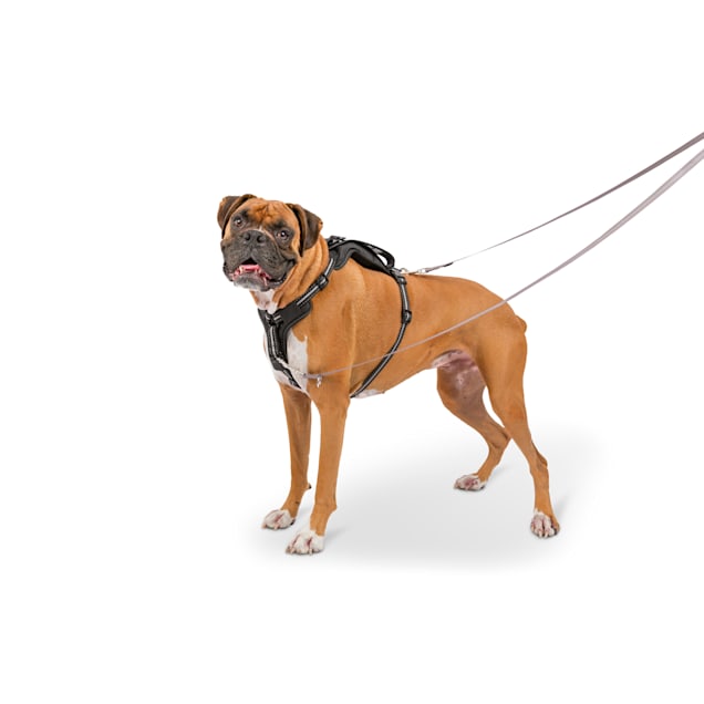 PetSafe Walk Along Outdoor Dog Harness Medium Petco