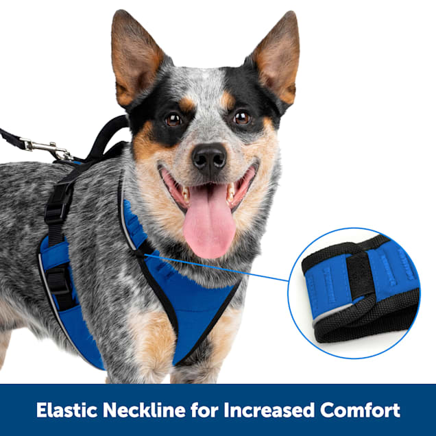 Petco easy walk harness shop