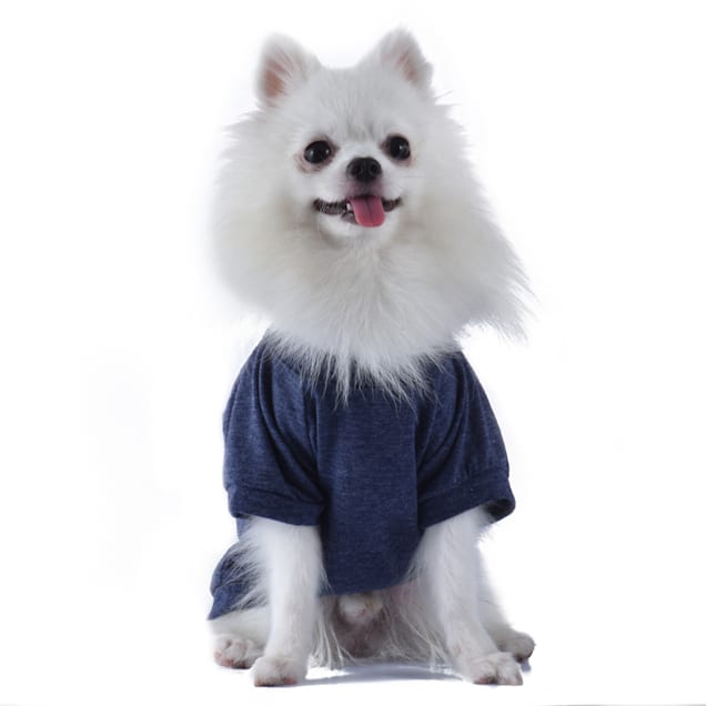 Star Wars Yoda Judge Me by My Size Medium Star Wars Dog Shirt for Medium Sized Dogs Do You? Dog Tee 