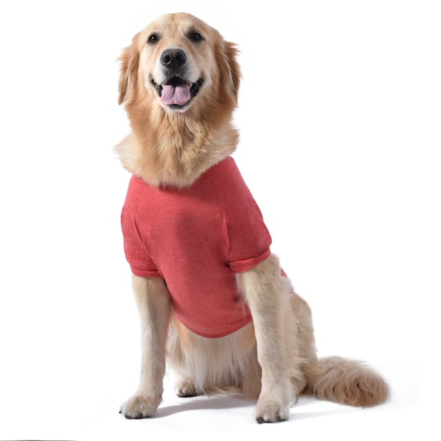 Red shirt for dog clearance