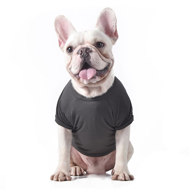 Star wars store dog shirt