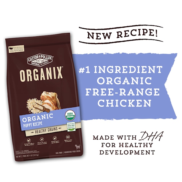 Castor And Pollux Dental Chews seeds.yonsei.ac.kr