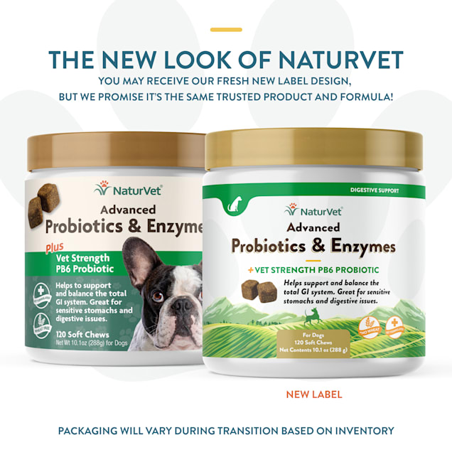 Over the counter probiotics for dogs outlet