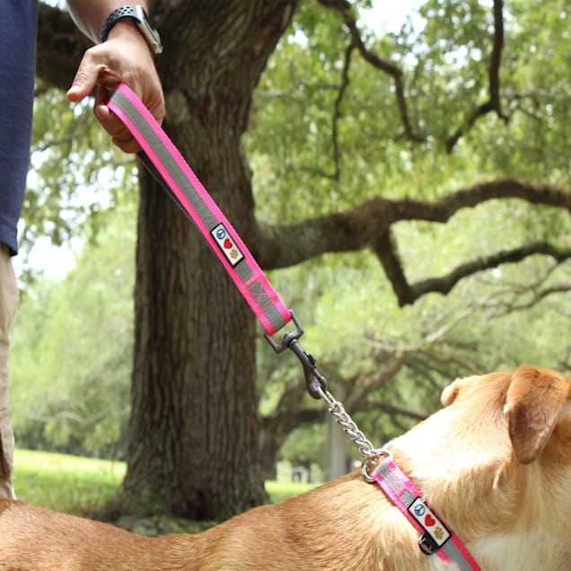 Short clearance leash dog
