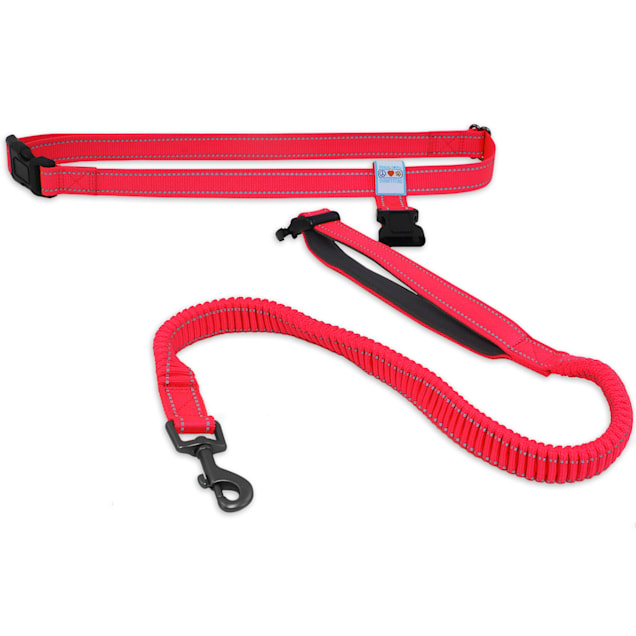Pawtitas Reflective Red Running Handsfree Puppy or Dog Leash Padded Handle 5 ft