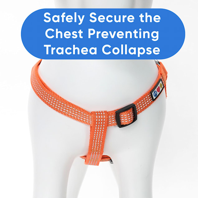 Trachea top safe harness