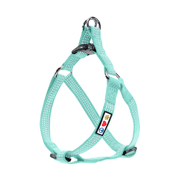 Pawtitas Reflective Teal Puppy or Dog Harness X Small