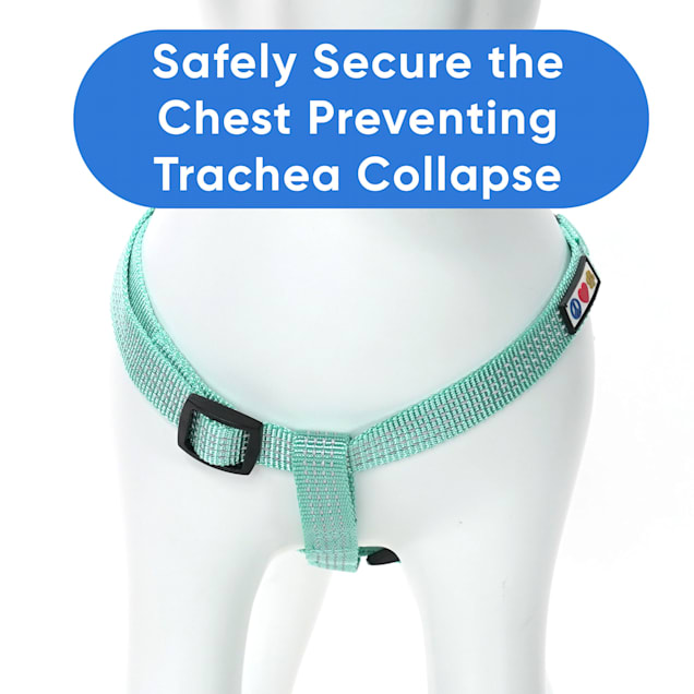 Trachea top safe harness