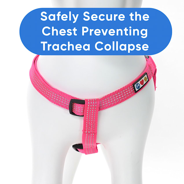 Trachea safe harness top