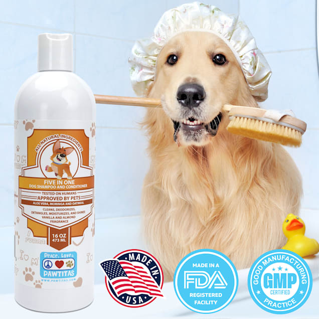 Organic dog shampoo and conditioner shop