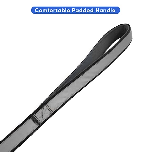 Double handle dog leash store