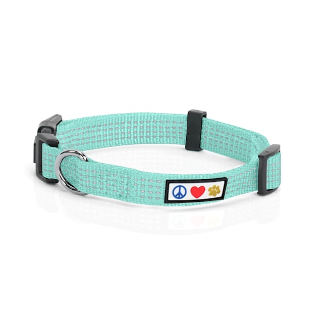Petco puppy collars clearance