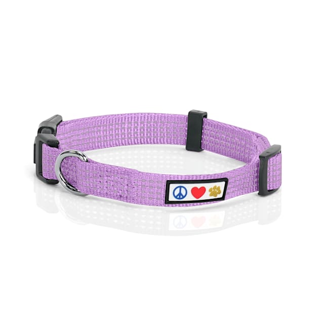Pawtitas Reflective Purple Orchid Puppy or Dog Collar X Small