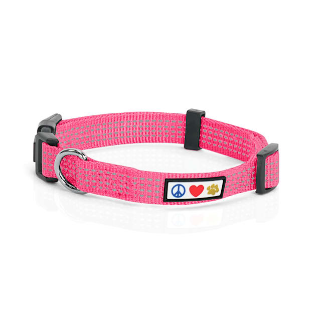 Pink puppy lead shop