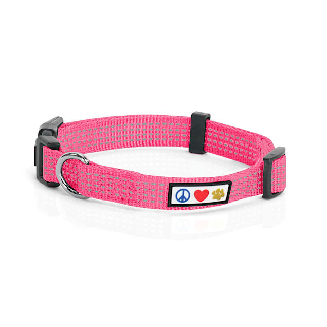 Dog Collar - Soft Collar For Dogs - Pink - Flowers - Roses - You are  Llamazing - Paw My God!