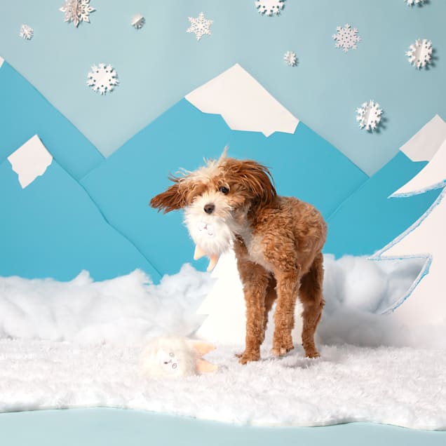 Bark Snow Bunny Ball Dog Toy Small Petco Your bunny snow stock images are ready. bark snow bunny ball dog toy small