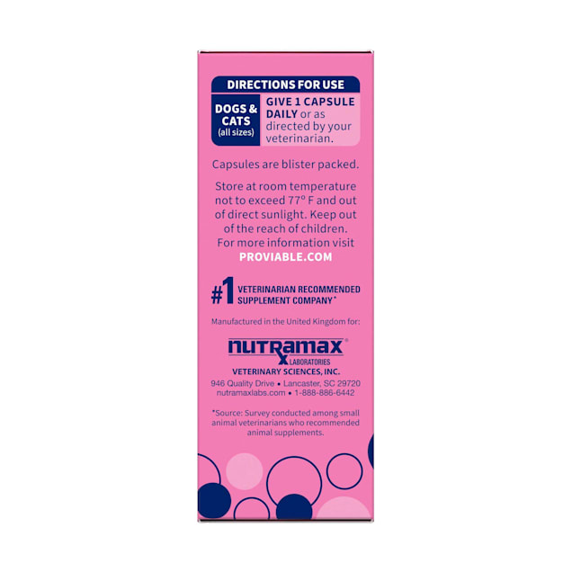 Proviable probiotics for dogs and cats 2025