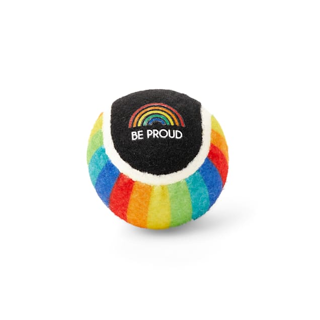 Youly The Proudest Rainbow Tennis Ball Set X Small Pack Of 3 Petco