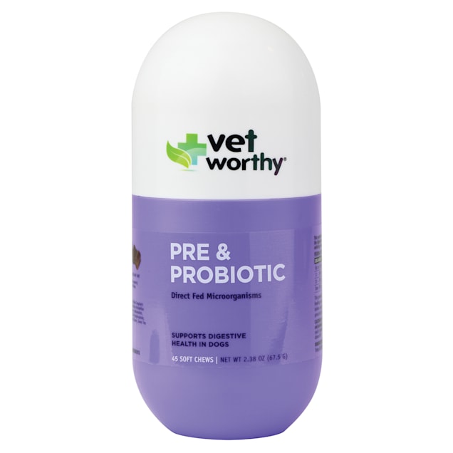 Vet Worthy Pre & Probiotic Soft Chews for Dogs, Count of 45 - Carousel image #1