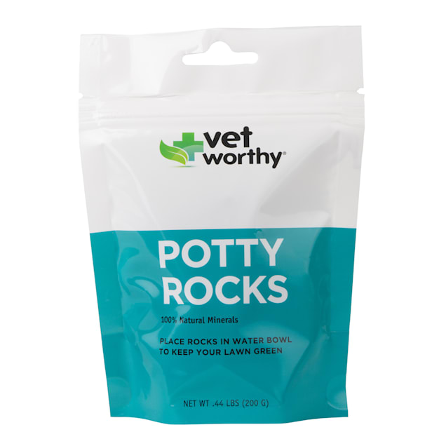 Dog online rocks petco