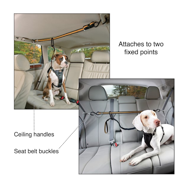 Zipline harness dog deals
