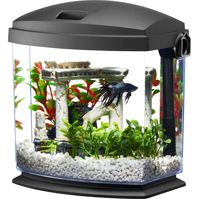 Aqueon BettaBow with Quick Clean Technology Aquarium Kit