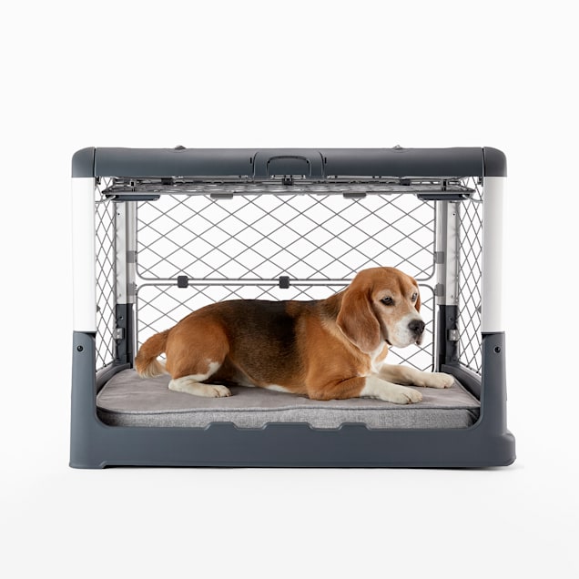 Diggs Revol Grey Double Door Collapsible Dog Crate with Tray and