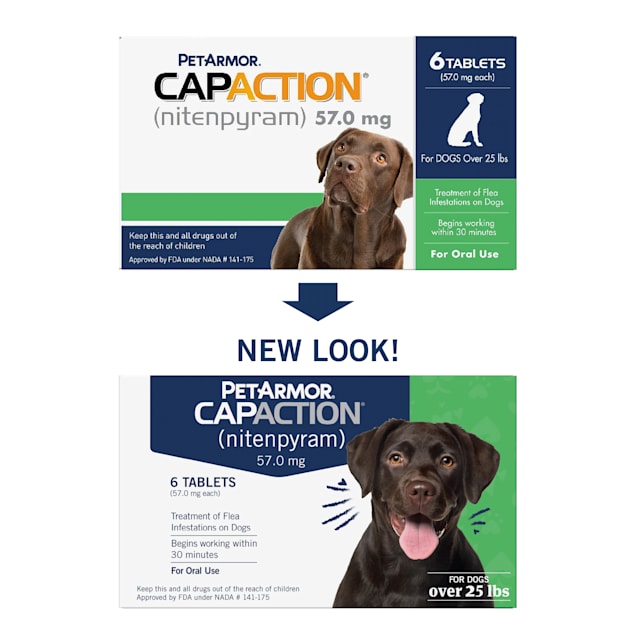 Best oral flea medication for dogs outlet
