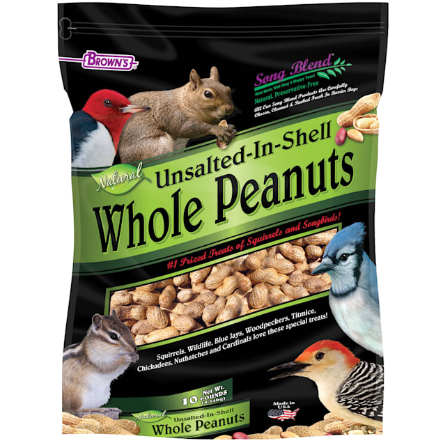 Brown's Song Blend Unsalted In-Shell Whole Peanuts Bird Food, 10 lbs. - Carousel image #1