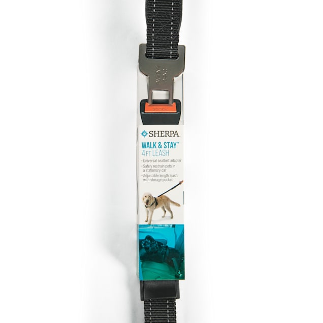 Dog leash seat belt petco sale