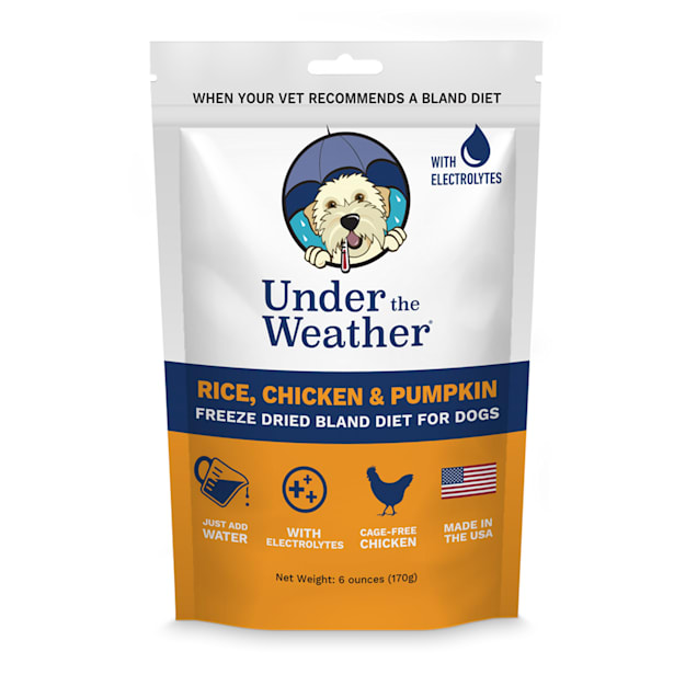 Under The Weather Easy To Digest Bland Diet For Sick Dogs
