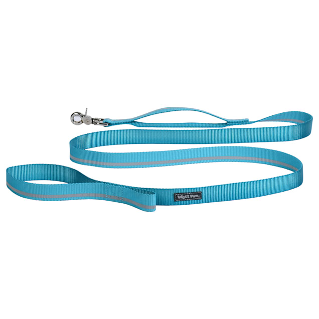 Designer Dog Leash - Snowflake Turquoise - Fast Shipping – Love Your Pets