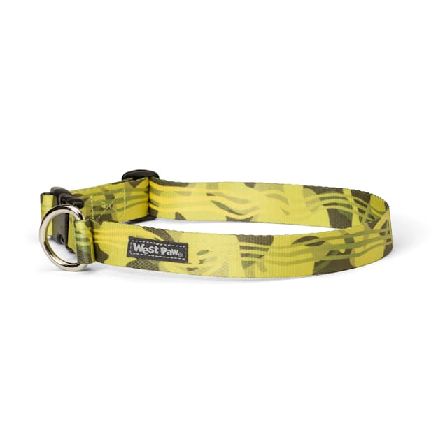 West Paw Outings Collar in Green Groove for Dogs, Small - Carousel image #1