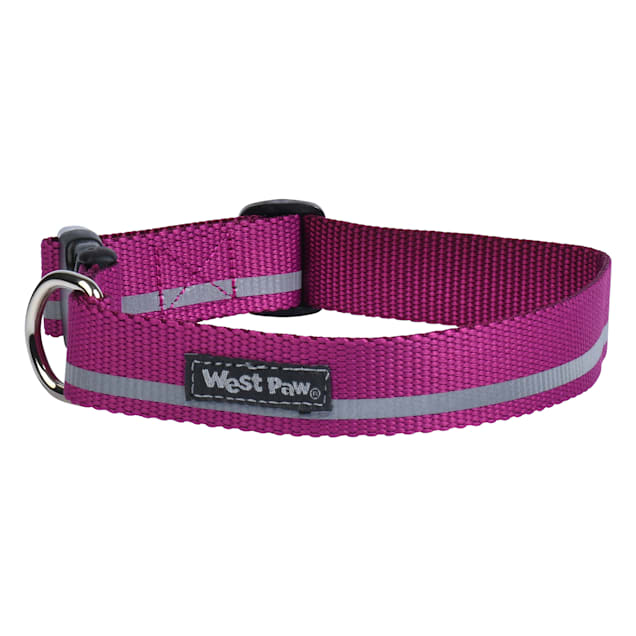 Fuchsia hotsell dog collar