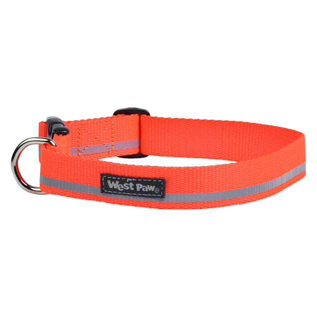 West Paw Strolls Collar in Reflective Neon Orange for Dogs, Small - Carousel image #1
