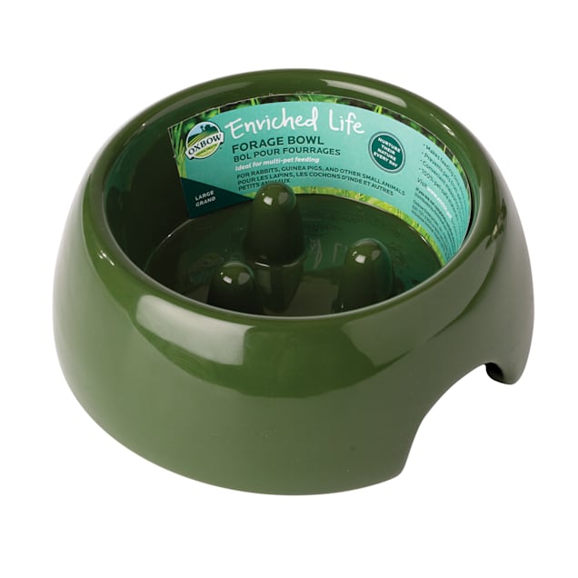 Oxbow Enriched Life Forage Bowl, Large - Carousel image #1