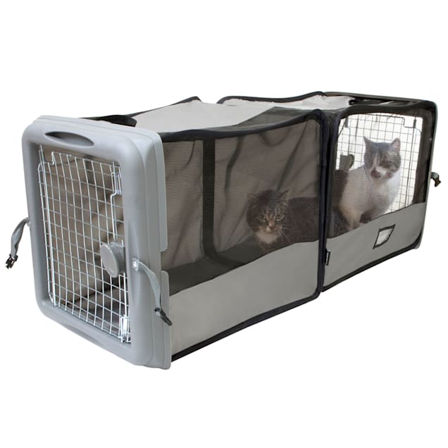 Pet Travel Carrier: Hard-Sided Carrier, Cat Carrier, Small Animal Carrier,  Tiny Dog Breeds