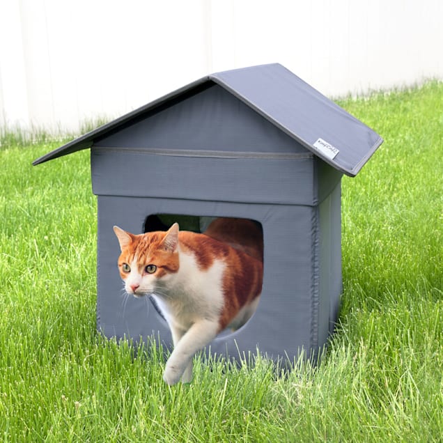Petco cat discount house outdoor