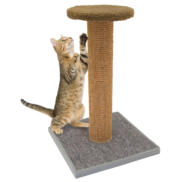 Kitty city 2025 scratching post