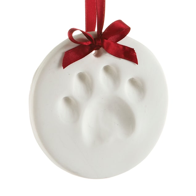 Dog paw impression kit hotsell